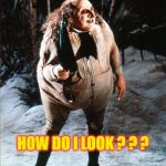 No, Just No.... Don't Ever Do This | GOT MY FIRST ROMPER TODAY; HOW DO I LOOK ? ? ? | image tagged in danny devito penguin,romper,romphim | made w/ Imgflip meme maker