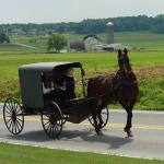 We were so Amish...