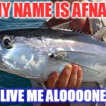 Lonely Tuna | MY NAME IS AFNAN; NOW LIVE ME ALOOOONE !!!!!!! | image tagged in lonely tuna | made w/ Imgflip meme maker