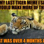 The horrible realisation of breaking my own promise, this time i will keep it. | IN MY LAST TIGER MEME I SAID I WOULD MAKE MORE OF THEM, THAT WAS OVER 4 MONTHS AGO | image tagged in confession tiger hi res,tiger,confession tiger | made w/ Imgflip meme maker