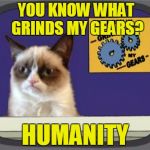 Straight Out of the Cat's Mouth | YOU KNOW WHAT GRINDS MY GEARS? HUMANITY | image tagged in grumpy cat grinds my gears,memes,grumpy cat,grinds my gears,antisocial,misanthropy | made w/ Imgflip meme maker