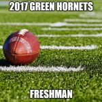 College football  | 2017 GREEN HORNETS; FRESHMAN | image tagged in college football | made w/ Imgflip meme maker