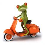 moped frog