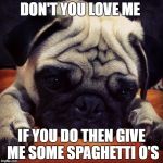 pugsnotdrugs | DON'T YOU LOVE ME; IF YOU DO THEN GIVE ME SOME SPAGHETTI O'S | image tagged in pugsnotdrugs | made w/ Imgflip meme maker