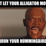 samuel l jackson | DON'T LET YOUR ALLIGATOR MOUTH.. ..OVERRUN YOUR HUMMINGBIRD ASS! | image tagged in samuel l jackson | made w/ Imgflip meme maker