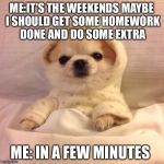 Me this weekend  | ME:IT'S THE WEEKENDS MAYBE I SHOULD GET SOME HOMEWORK DONE AND DO SOME EXTRA; ME: IN A FEW MINUTES | image tagged in sleep tight pupper | made w/ Imgflip meme maker