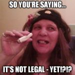 Raine, the Pirate! | SO YOU'RE SAYING... IT'S NOT LEGAL - YET!?!? | image tagged in raine the pirate! | made w/ Imgflip meme maker