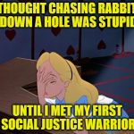 Alice in Wonderland Face Palm Facepalm | I THOUGHT CHASING RABBITS DOWN A HOLE WAS STUPID; UNTIL I MET MY FIRST SOCIAL JUSTICE WARRIOR | image tagged in alice in wonderland face palm facepalm | made w/ Imgflip meme maker