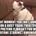 That moment you fart loudly on a busy train... | THAT MOMENT YOU FART LOUDLY ON A BUSY TRAIN, THEN TRY TO PRETEND IT WASN'T YOU WITH EVERYONE STARING... AWKWARD!!! | image tagged in guilty dog,funny memes,awkward | made w/ Imgflip meme maker