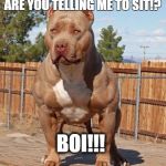 BOI | ARE YOU TELLING ME TO SIT!? BOI!!! | image tagged in boi | made w/ Imgflip meme maker