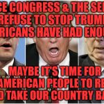 Republicans1234 | SINCE CONGRESS & THE SENATE REFUSE TO STOP TRUMP AMERICANS HAVE HAD ENOUGH; MAYBE IT'S TIME FOR THE AMERICAN PEOPLE TO REVOLT AND TAKE OUR COUNTRY BACK | image tagged in republicans1234 | made w/ Imgflip meme maker