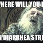 theoden retirement | WHERE WILL YOU BE; WHEN DIARRHEA STRIKES? | image tagged in theoden retirement,memes,theoden,diahrea | made w/ Imgflip meme maker