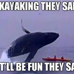 Whale Trust Fall | GO KAYAKING THEY SAID.... ....IT'LL BE FUN THEY SAID | image tagged in whale trust fall | made w/ Imgflip meme maker