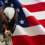Memorial day Eagle