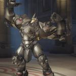 Reinhardt Flex