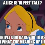 Go ask Alice when she's 10 feet tall... about the meaning of life. I dare ya! | ALICE IS 10 FEET TALL? I TRIPLE DOG DARE YOU TO ASK HER WHAT THE MEANING OF LIFE IS | image tagged in alice feeling curious | made w/ Imgflip meme maker