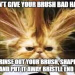 bad hair day | DON'T GIVE YOUR BRUSH BAD HAIR! RINSE OUT YOUR BRUSH, SHAPE IT AND PUT IT AWAY BRISTLE END UP. | image tagged in bad hair day | made w/ Imgflip meme maker