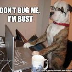 Hump Day At The Office | I'M BUSY; DON'T BUG ME, | image tagged in computer doggo | made w/ Imgflip meme maker