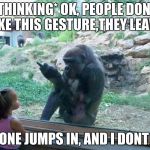 Gorilla Flipping Bird | *THINKING* OK, PEOPLE DONT LIKE THIS GESTURE,THEY LEAVE, NO ONE JUMPS IN, AND I DONT DIE | image tagged in gorilla flipping bird | made w/ Imgflip meme maker