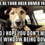 doggy driver | HI! I WILL BE YOUR UBER DRIVER FOR TODAY! AND I HOPE YOU DON'T MIND THE WINDOW BEING DOWN. | image tagged in doggy driver | made w/ Imgflip meme maker