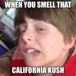 Dylan the dank | WHEN YOU SMELL THAT; CALIFORNIA KUSH | image tagged in dylan the dank | made w/ Imgflip meme maker