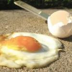 Egg on Sidewalk
