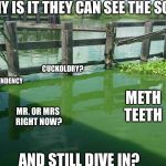 Algae | WHY IS IT THEY CAN SEE THE SCUM; CUCKOLDRY? CODEPENDENCY; METH TEETH; MR. OR MRS RIGHT NOW? AND STILL DIVE IN? | image tagged in algae | made w/ Imgflip meme maker