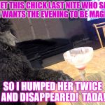 Noah Gump's time as a magician. | I MET THIS CHICK LAST NITE WHO SAID SHE WANTS THE EVENING TO BE MAGICAL; SO I HUMPED HER TWICE AND DISAPPEARED!  TADA! | image tagged in noah gump at bar,magic legs,standard poodle,phoenix,strawberry daquiri,funny memes | made w/ Imgflip meme maker
