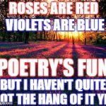 Roses are Red | ROSES ARE RED; VIOLETS ARE BLUE; POETRY'S FUN; BUT I HAVEN'T QUITE GOT THE HANG OF IT YET | image tagged in roses are red,roses are red violets are are blue,memes,funny,funny memes,poetry | made w/ Imgflip meme maker