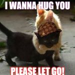 kittenhugs | I WANNA HUG YOU; PLEASE LET GO! | image tagged in kittenhugs,scumbag | made w/ Imgflip meme maker