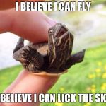 happy turtles | I BELIEVE I CAN FLY; I BELIEVE I CAN LICK THE SKY | image tagged in happy turtles | made w/ Imgflip meme maker