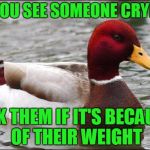 Zero ducks given. | IF YOU SEE SOMEONE CRYING; ASK THEM IF IT'S BECAUSE OF THEIR WEIGHT | image tagged in make actual bad advice mallard | made w/ Imgflip meme maker