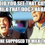 Dumb and Dumber laughing | DID YOU SEE THAT GUY MILK THAT DOG? HAHA.. YEAH! HE SUPPOSED TO MILK THE PIG! | image tagged in dumb and dumber laughing | made w/ Imgflip meme maker