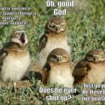 Burrowing owls | Oh, good God. ♪Overwear, underwear, anytime, anywhere
Overwear, underwear, anytime, anywhere♪; Just go with it. He'll eventually tire himself out. Does he ever shut up? | image tagged in burrowing owls | made w/ Imgflip meme maker
