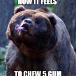 Derpy Bear | HOW IT FEELS; TO CHEW 5 GUM | image tagged in derpy bear | made w/ Imgflip meme maker