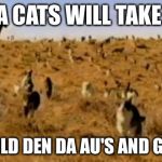 cat herding cats | ALL DA CATS WILL TAKE OVER; DIS WORLD DEN DA AU'S AND GALAXIES | image tagged in cat herding cats | made w/ Imgflip meme maker