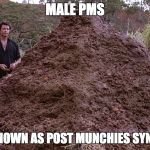 Male PMS | MALE PMS; (ALSO KNOWN AS POST MUNCHIES SYNDROME) | image tagged in one big pile of shit,pms,munchies | made w/ Imgflip meme maker