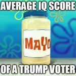 Mayonnaise | AVERAGE IQ SCORE; OF A TRUMP VOTER | image tagged in mayonnaise | made w/ Imgflip meme maker