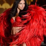 Red is Her Color | OH, SO YOU ONLY LIKE BLACK LINGERIE? I'LL BE GOING THEN | image tagged in adriana lima,memes | made w/ Imgflip meme maker