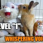 Bunny whispers | LEVEL "1"; WHISPERING VOICE | image tagged in bunny whispers | made w/ Imgflip meme maker