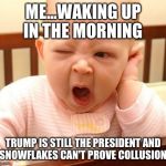 KEEP LOOKING SNOWFLAKES  | ME...WAKING UP IN THE MORNING; TRUMP IS STILL THE PRESIDENT AND SNOWFLAKES CAN'T PROVE COLLUSION | image tagged in yawn baby | made w/ Imgflip meme maker