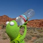 Kermit drinking water  meme
