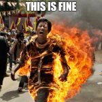 on fire | THIS IS FINE | image tagged in on fire | made w/ Imgflip meme maker
