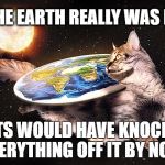 Flat Earth Cat | IF THE EARTH REALLY WAS FLAT, CATS WOULD HAVE KNOCKED EVERYTHING OFF IT BY NOW. | image tagged in flat earth cat | made w/ Imgflip meme maker