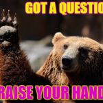 Bear Hands Up | GOT A QUESTION? RAISE YOUR HAND | image tagged in bear hands up | made w/ Imgflip meme maker
