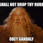 Gandalf You shall not pass Ian McKellen | YOU SHALL NOT DROP THY RUBBISH; OBEY GANDALF | image tagged in gandalf you shall not pass ian mckellen | made w/ Imgflip meme maker