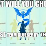 Pokemon Teams | WHAT WILL YOU CHOOSE; TEAM HOTSAUCE; TEAM BLUEBERRY; TEAM CHEESE | image tagged in pokemon teams | made w/ Imgflip meme maker