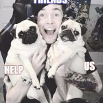 DanTDM and the pugs | FRIENDS; HELP; US | image tagged in dantdm and the pugs | made w/ Imgflip meme maker