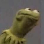 Kermit questionable face meme