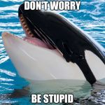 Free Willy 3  | DON'T WORRY; BE STUPID | image tagged in free willy 3 | made w/ Imgflip meme maker